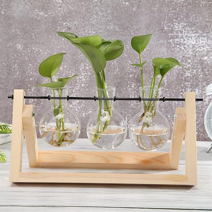 Table Glass Planter