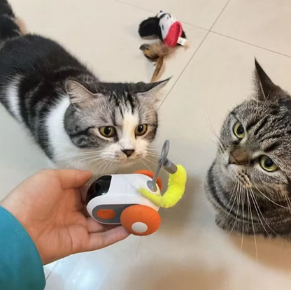 Pet Interactive Electric Car Toy